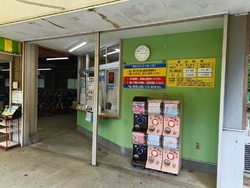 公園内はとても...