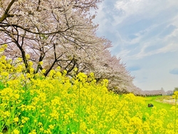 たまたま通りか...
