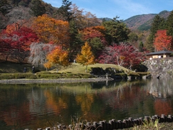 この時期、紅葉...