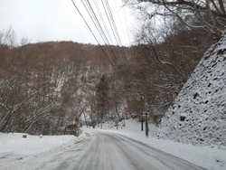 新年初のハンタ...