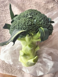 新鮮お野菜を買...