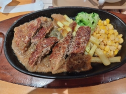 この日はディナ...
