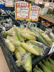 とうもろこしが...