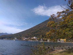 混雑を避け紅葉...