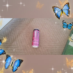 足利へ行ったの...