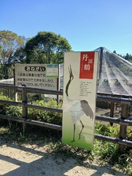 今日は、天気が...