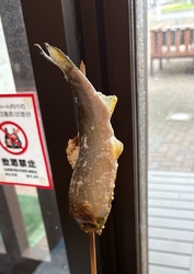 家族で鮎まつり...