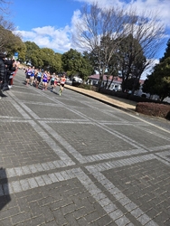 毎年開催されて...