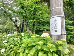 Launchの...