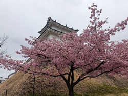 この日はとても...