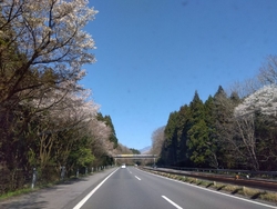 毎回日光方面に...