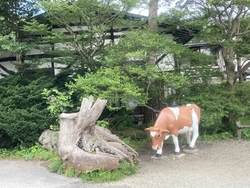 ホテルのチェッ...