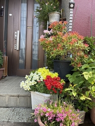 先生ありがとね...