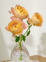 スプレー薔薇に...