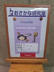 子どもが夏休み...