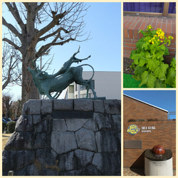 ランチ後、娘と...