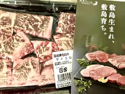 今年も敷島ファ...