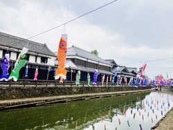 今月中旬から色...