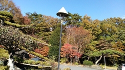 露天風呂に立っ...