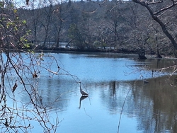 子どものサッカ...