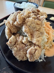 宇都宮からの帰...