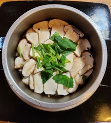 今日から始まっ...