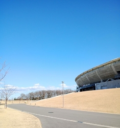 弾性舗装のコー...