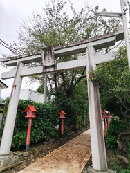 日曜日の早朝参...