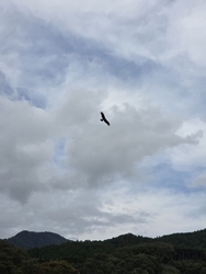 粕尾の県道15...