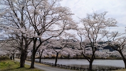 平日午後訪問。...