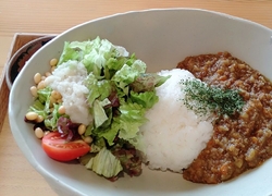 ひまわり畑を見...