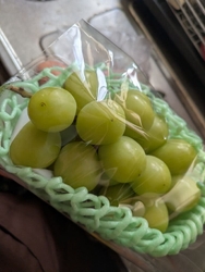 葉物野菜が高騰...