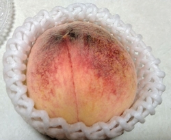 お茶菓子でコチ...