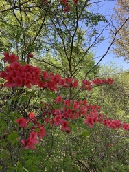 4月21日に訪...