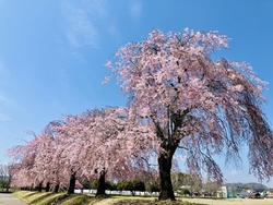 やっとスッキリ...