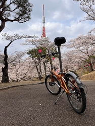 桜まつりは今週...