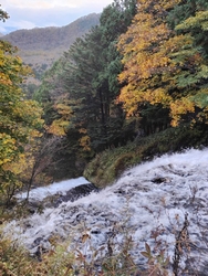 少し前にテレビ...