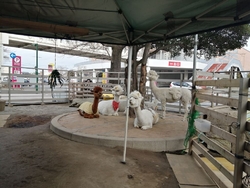 ベルさくらの湯...