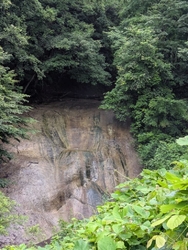 水も少なく、緑...