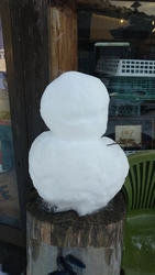 道の駅湯西川を...