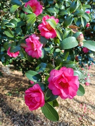 隣接の中央図書...