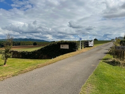 この日は9月下...