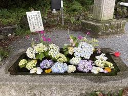 久しぶりに伺い...