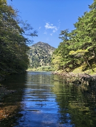 久しぶりの晴れ...