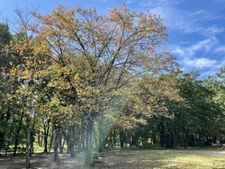 那須野が原公園...