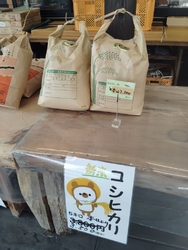今日は、...