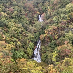 数十年ぶりに霧...