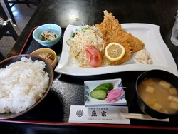 今日は、芝ざく...