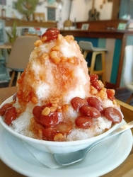 酷暑日続出の日...