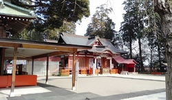 梅が咲き始めた...